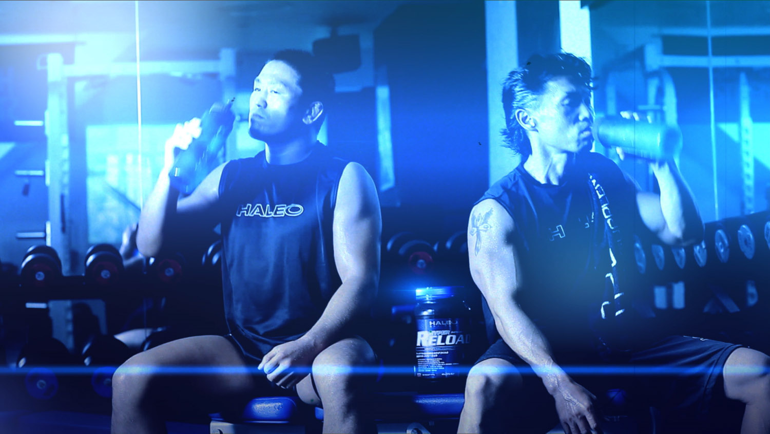 HALEO - REAL SUPPLEMENTS. REAL RESULTS.
